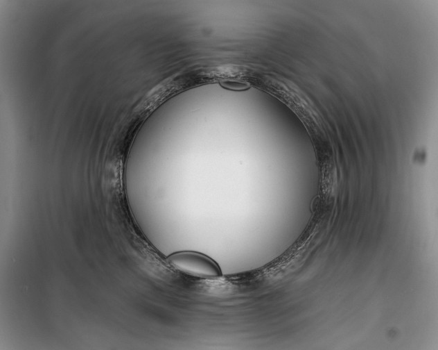 X0000100200425200806131234