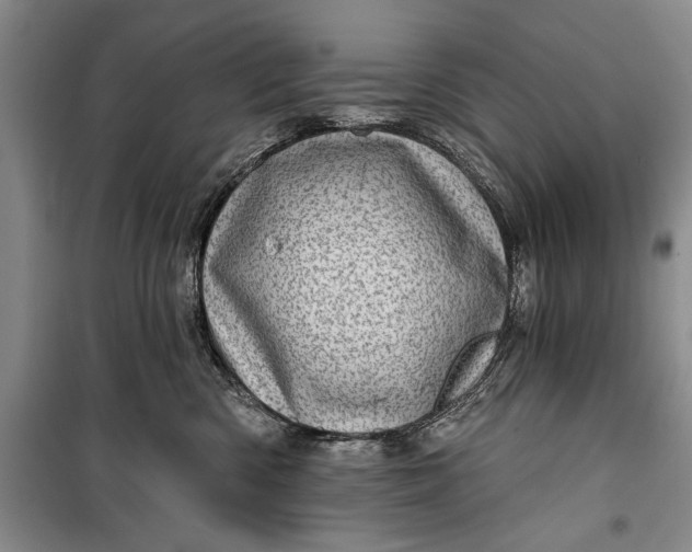 X0000100200426200806131234