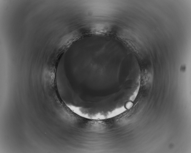 X0000100200427200806131234