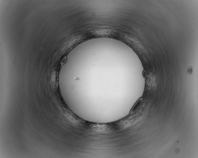 X0000100200428200806131234