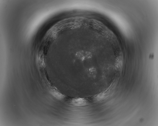 X0000100200431200806131234