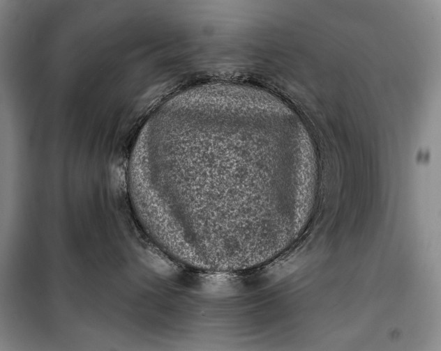 X0000100200432200806131234