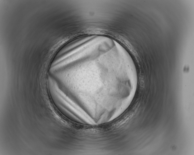 X0000100200433200806131233