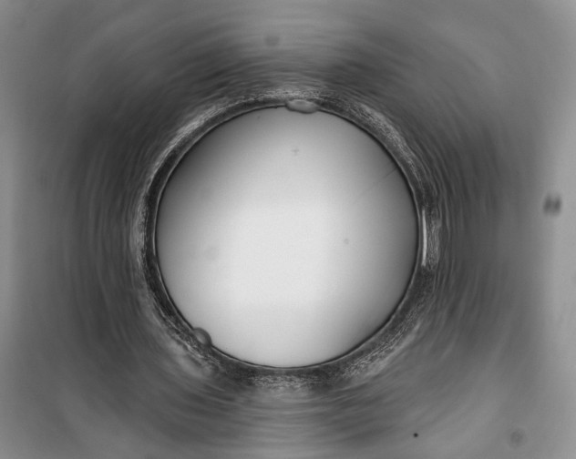 X0000100200435200806131233