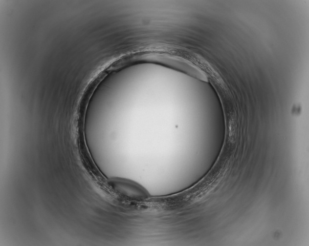 X0000100200436200806131233