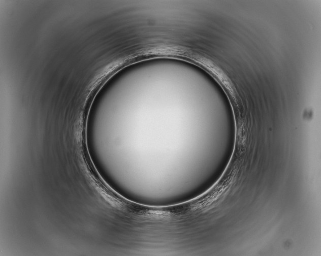 X0000100200437200806131233