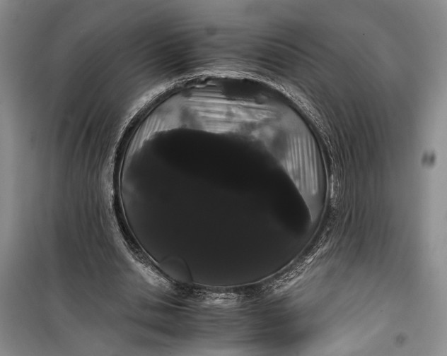 X0000100200438200806131233