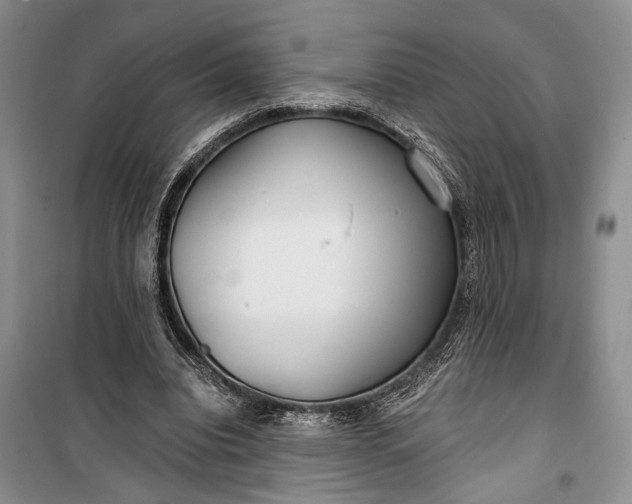 X0000100200440200806131233