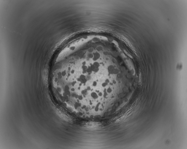 X0000100200444200806131233