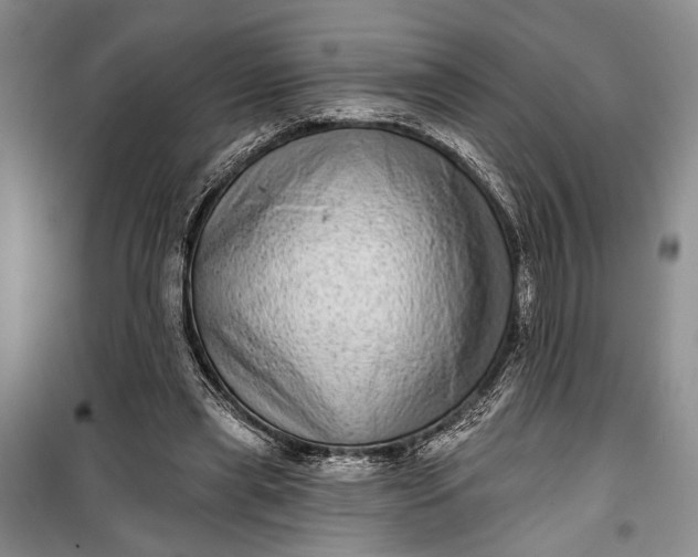 X0000100200445200806131233