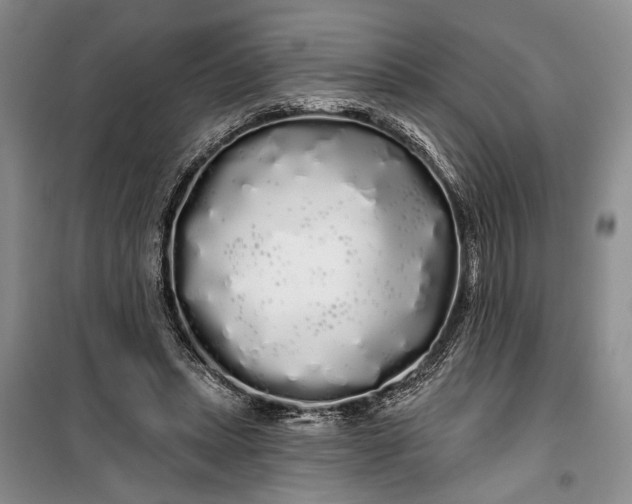 X0000100200447200806131233