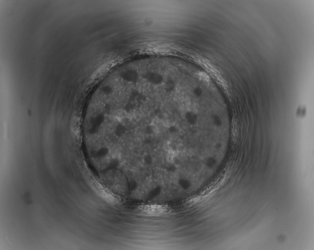 X0000100200449200806131233