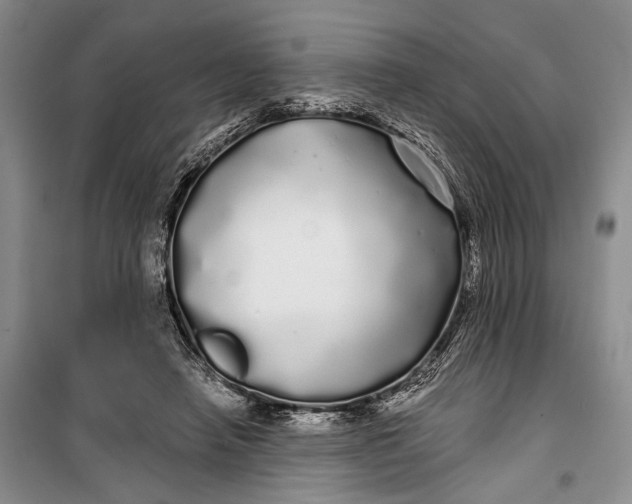 X0000100200450200806131233