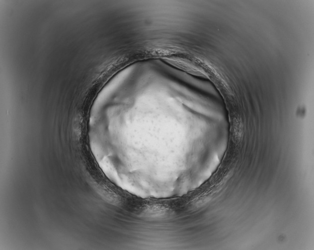 X0000100200451200806131233