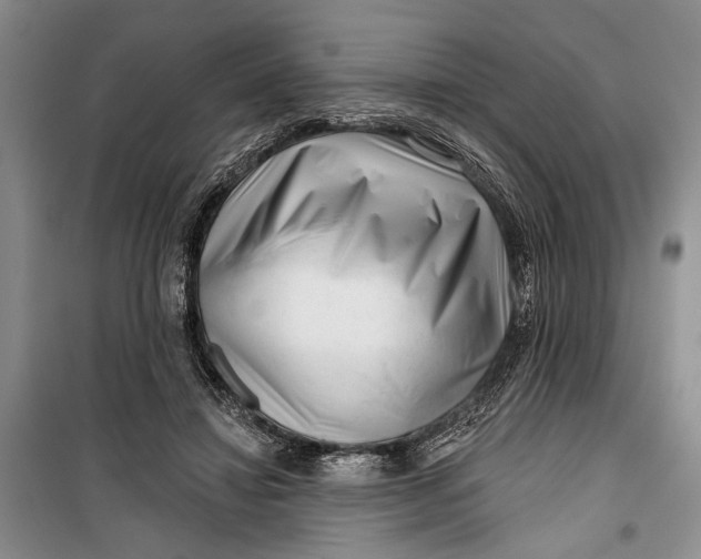 X0000100200452200806131233