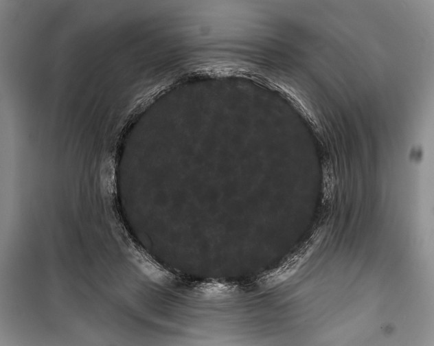 X0000100200453200806131234