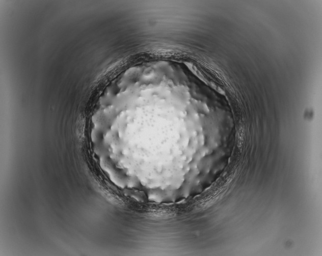 X0000100200454200806131234