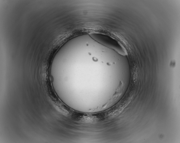 X0000100200455200806131234