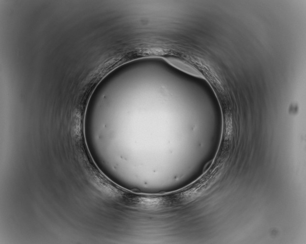 X0000100200457200806131234