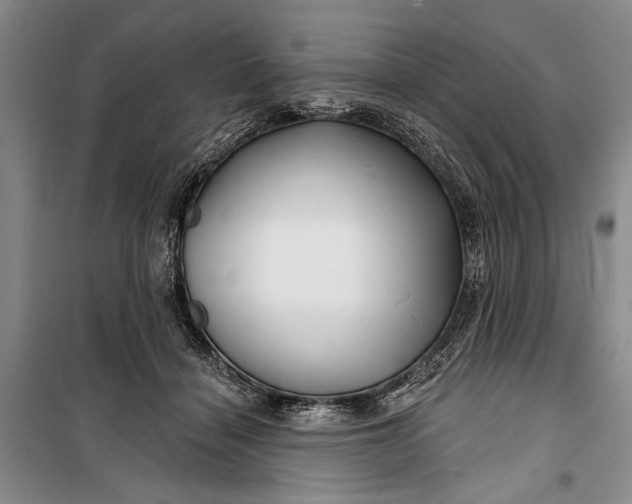 X0000100200460200806131234