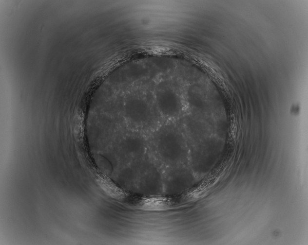 X0000100200461200806131234