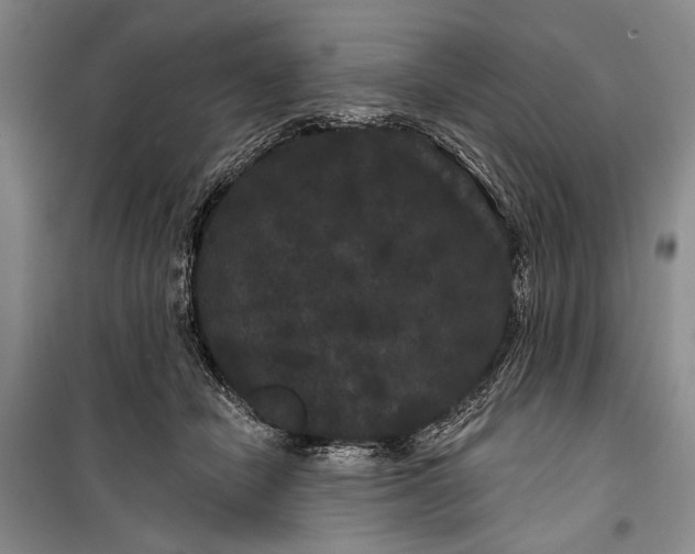 X0000100200462200806131234