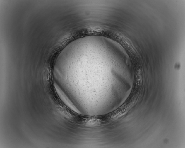 X0000100200463200806131234