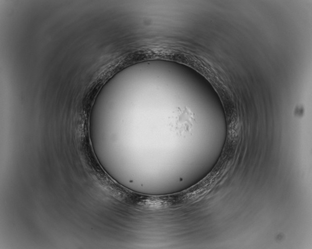 X0000100200464200806131234