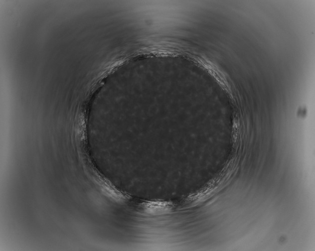 X0000100200465200806131234