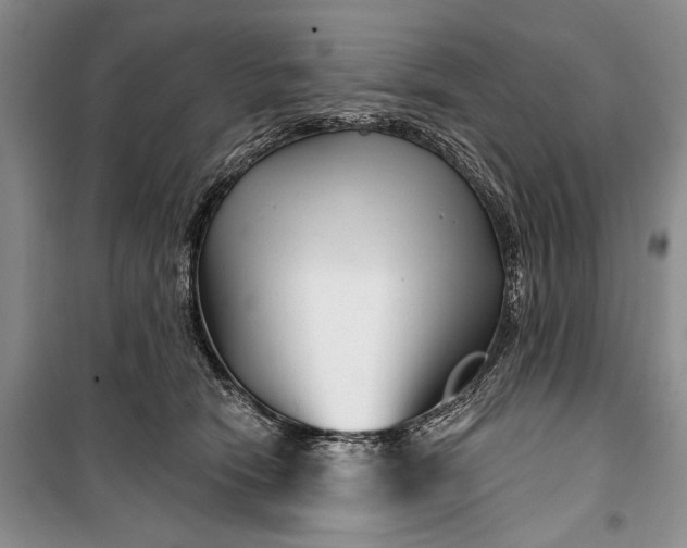 X0000100200466200806131234