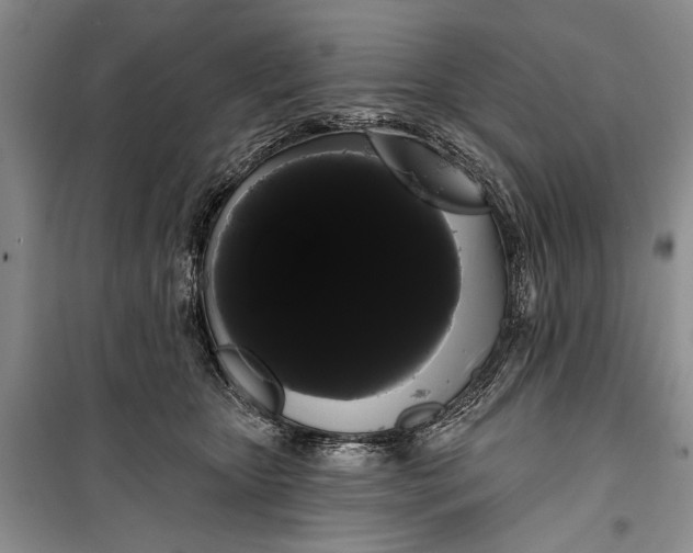 X0000100200467200806131234