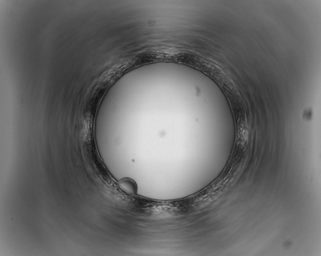 X0000100200468200806131234