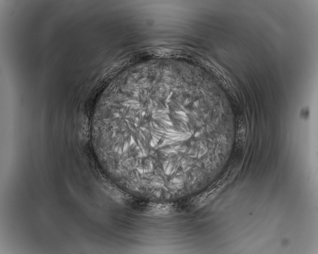 X0000100200469200806131234