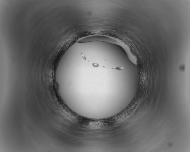 X0000100200470200806131234