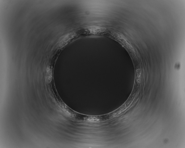 X0000100200471200806131234