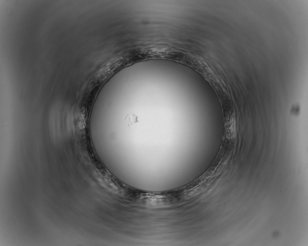 X0000100200472200806131234