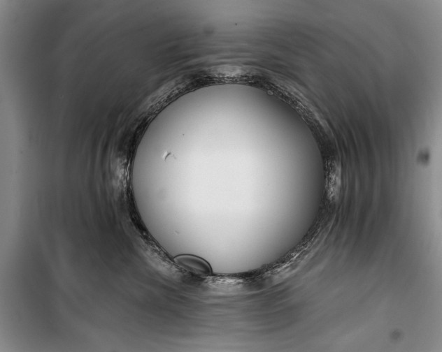 X0000100200476200806131234