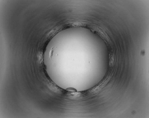 X0000100200478200806131234