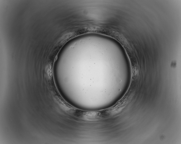 X0000100200479200806131234