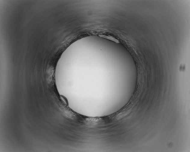 X0000100200480200806131234