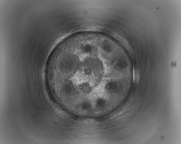 X0000100200483200806131233