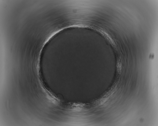 X0000100200484200806131233