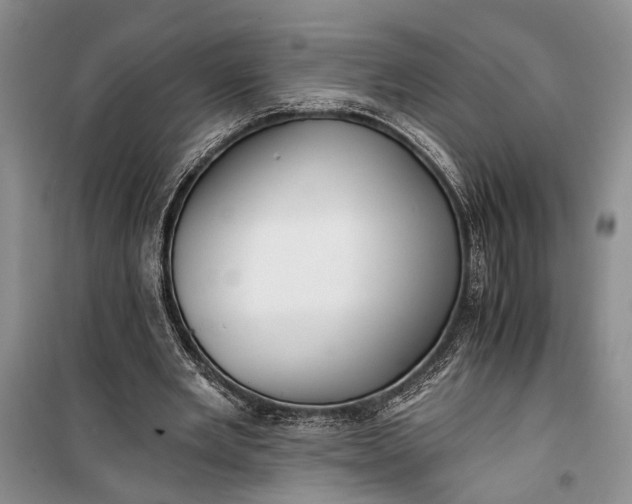 X0000100200485200806131233