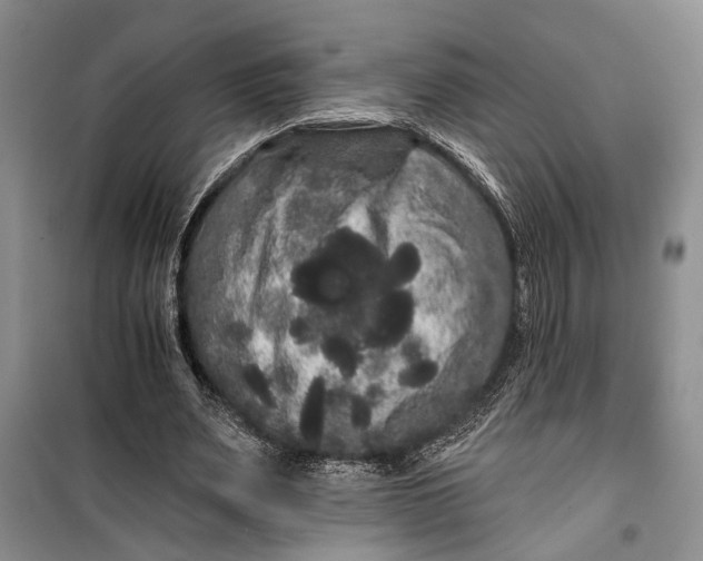 X0000100200487200806131233