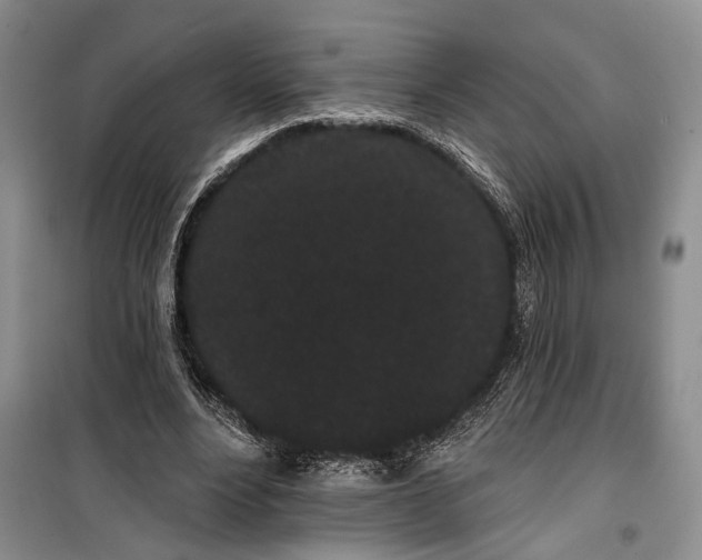 X0000100200488200806131233