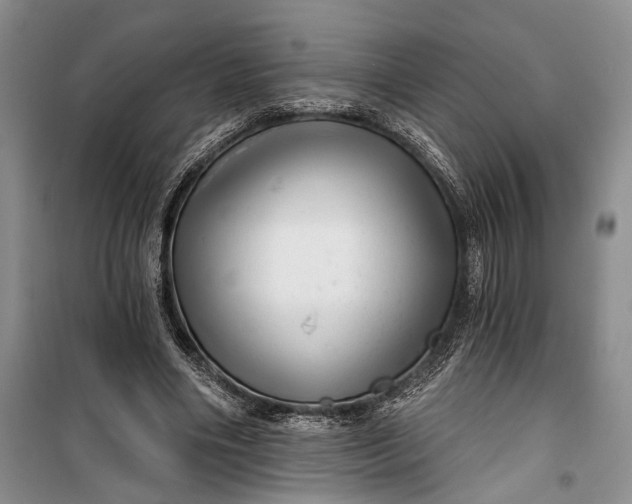 X0000100200490200806131233