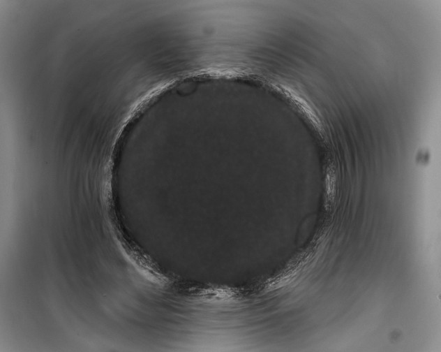 X0000100200492200806131233