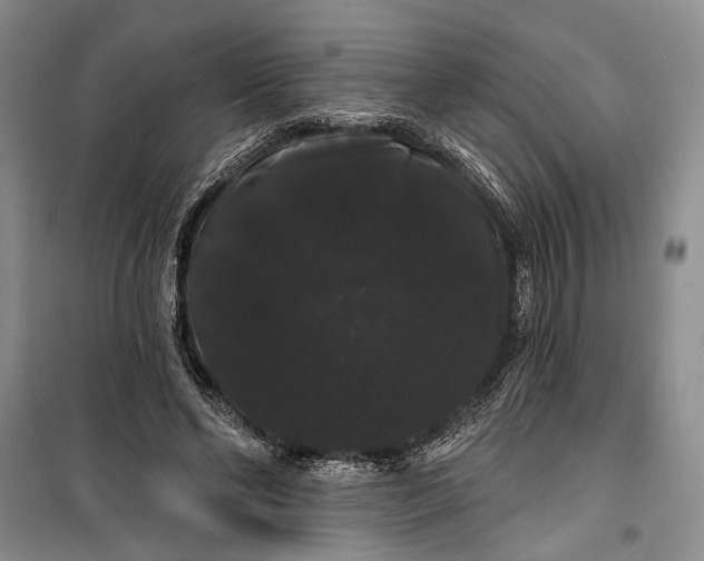 X0000100200494200806131233