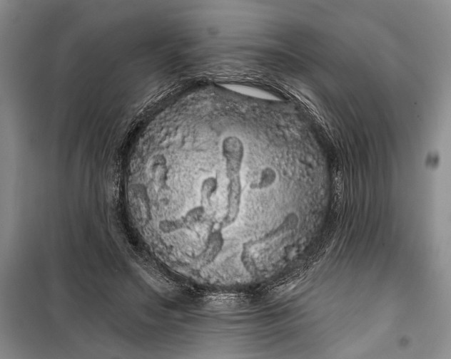 X0000100200499200806131233