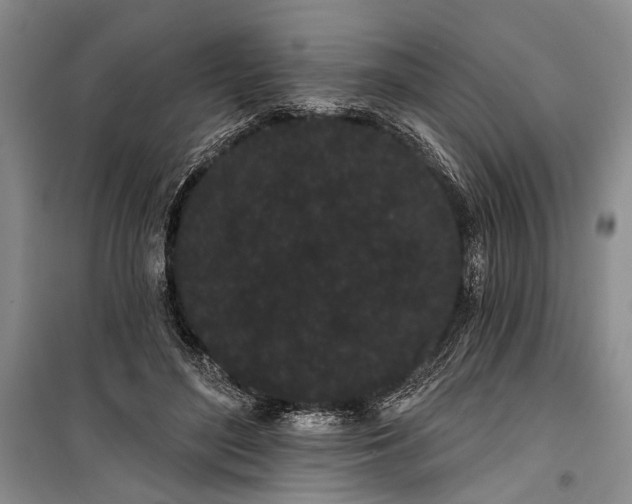 X0000100200500200806131233